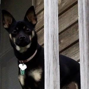 Meet your Posher, Victoria